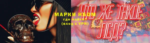стафф Аркадак