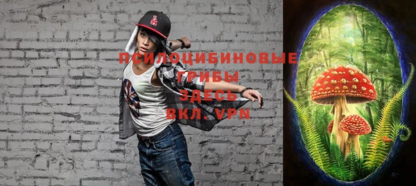 ALPHA PVP Арсеньев