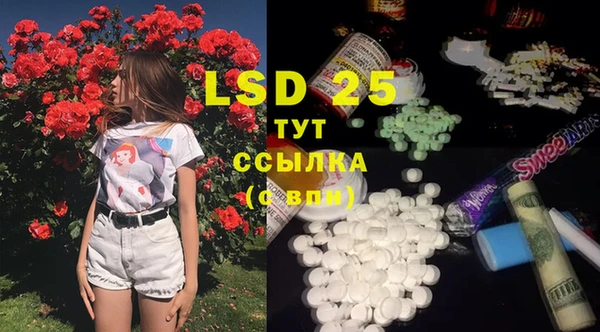 стафф Аркадак