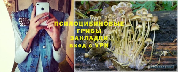 стафф Аркадак