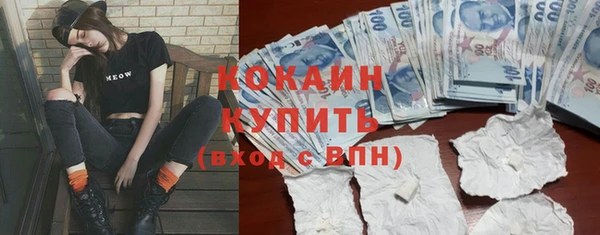 стафф Аркадак