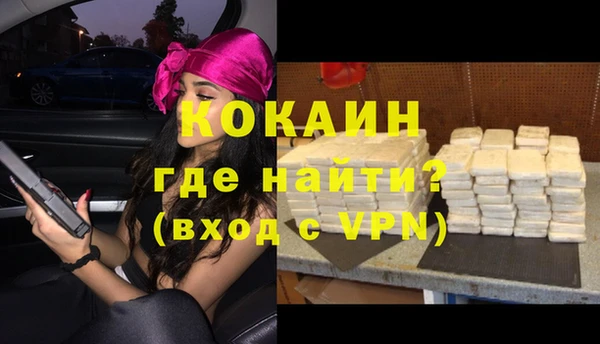стафф Аркадак