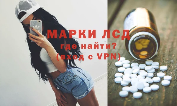 PSILOCYBIN Михайлов